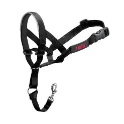 Halti Headcollar