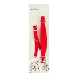 Great&Small Puppy/Small Breed Collar & Lead Set Red