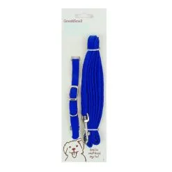 Great&Small Puppy/Small Breed Collar & Lead Set Blue