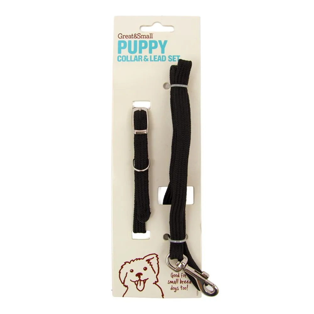 Great&Small Puppy/Small Breed Collar & Lead Set Black