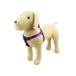 Great&Small Purple Adjustable Harness
