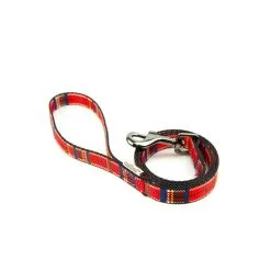Great&Small Tartan Lead