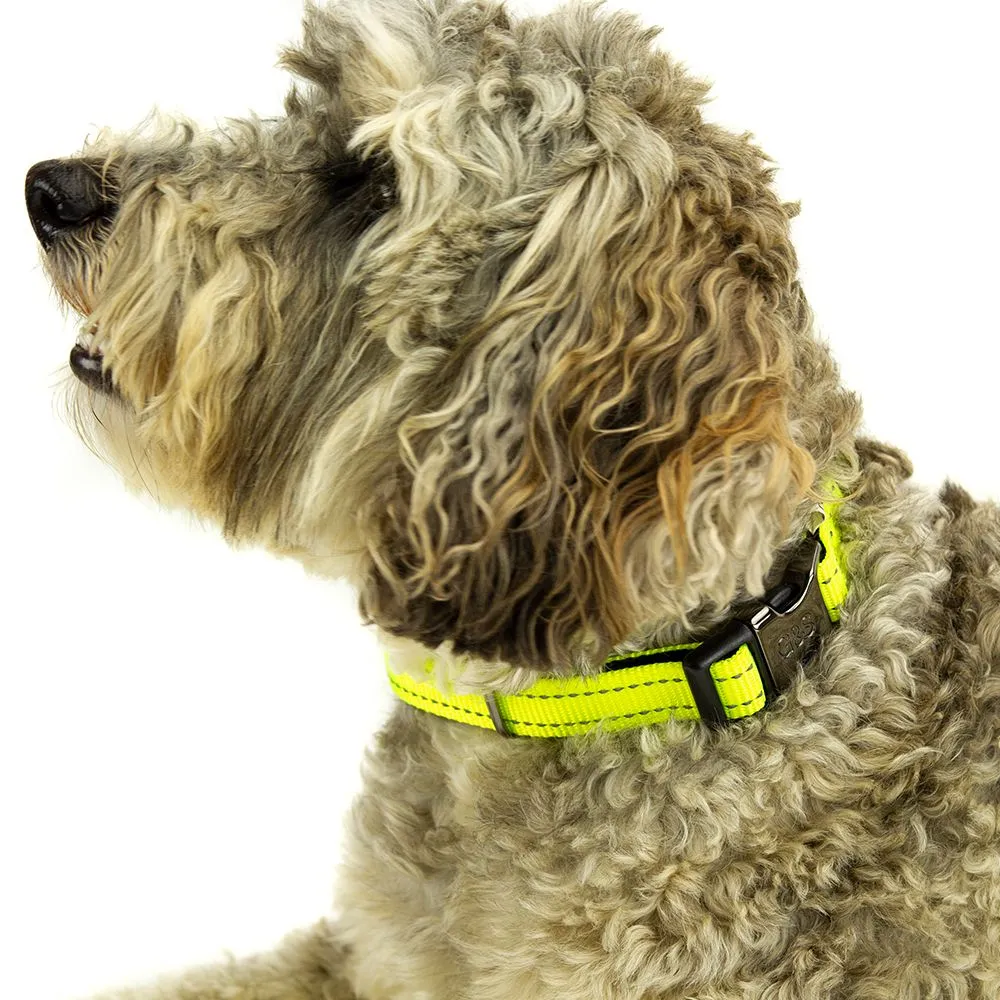 Great&Small Adjustable Collar Hi-Vis Yellow - Image 2