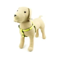 Great&Small Hi-Vis Green Harness