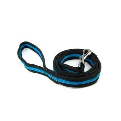 Great&Small Soft Nylon Lead Blue