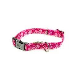 Great&Small Cherry Blossom Pink Collar