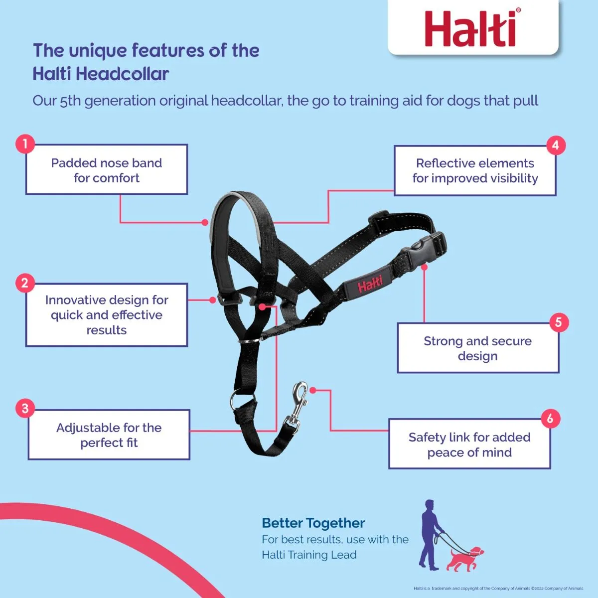 Halti Headcollar - Image 2