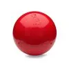 Company Of Animals Boomer Ball 6"