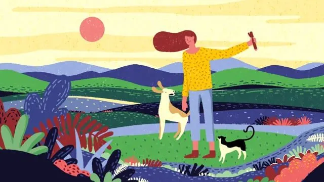 Yora Adult Large Breed Insect Protein Dog Food - Image 4