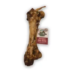 Antos Paddock Farm Ostrich Dino Bone