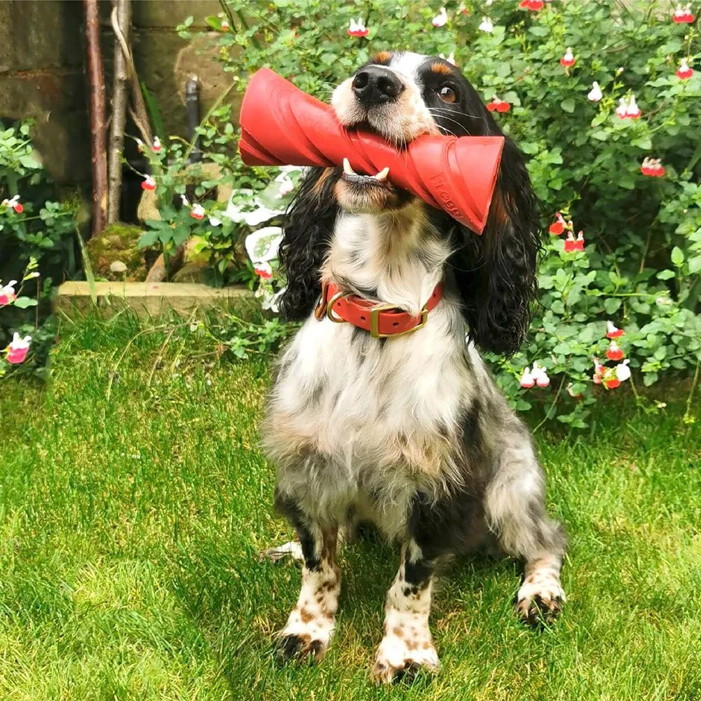 Frogg The Brick Red Chew Treat Dog Toy - Image 8