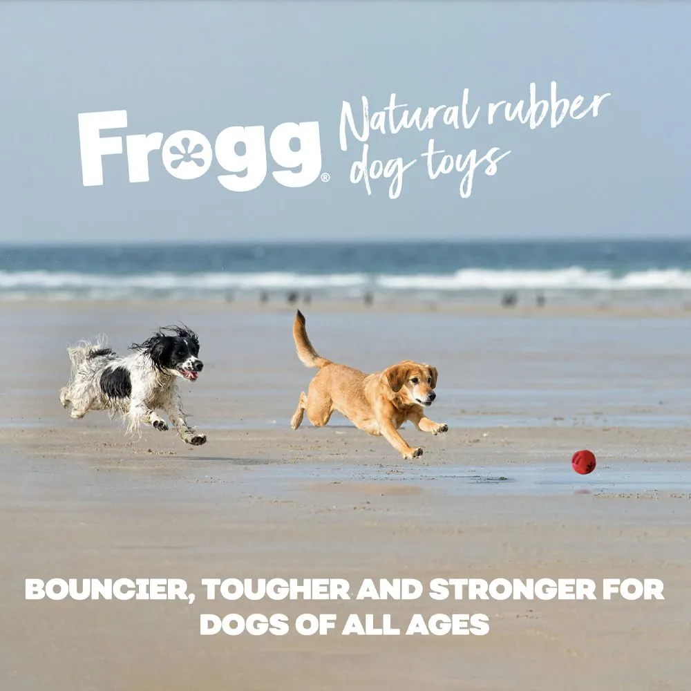 Frogg Egg Pink Chew Treat Dog Toy - Image 4