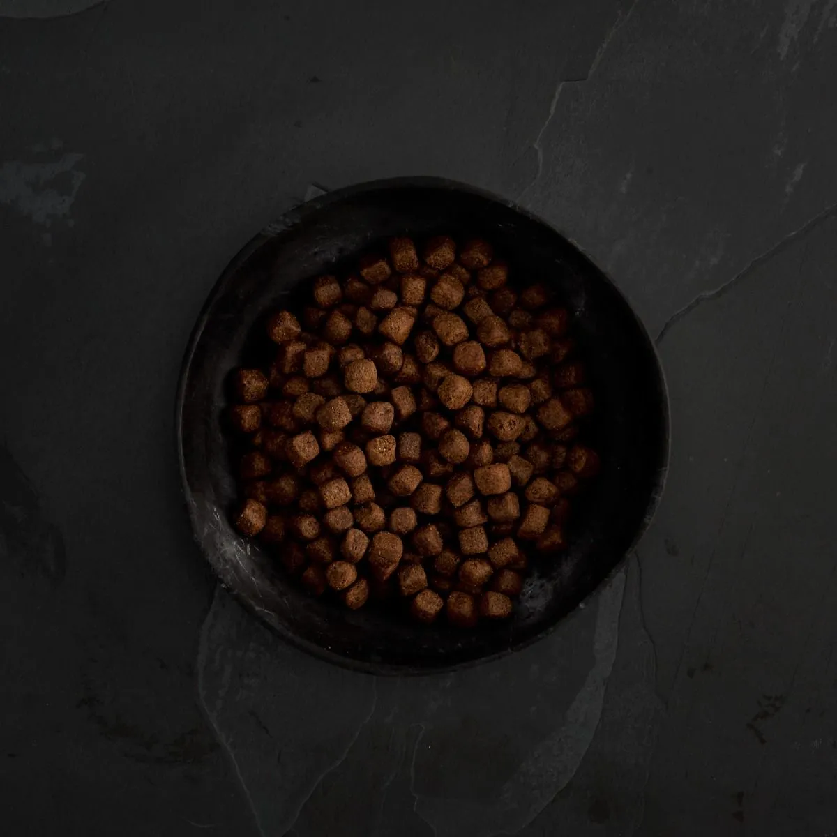 Canagan Dog Dental Free-Run Turkey - Image 2