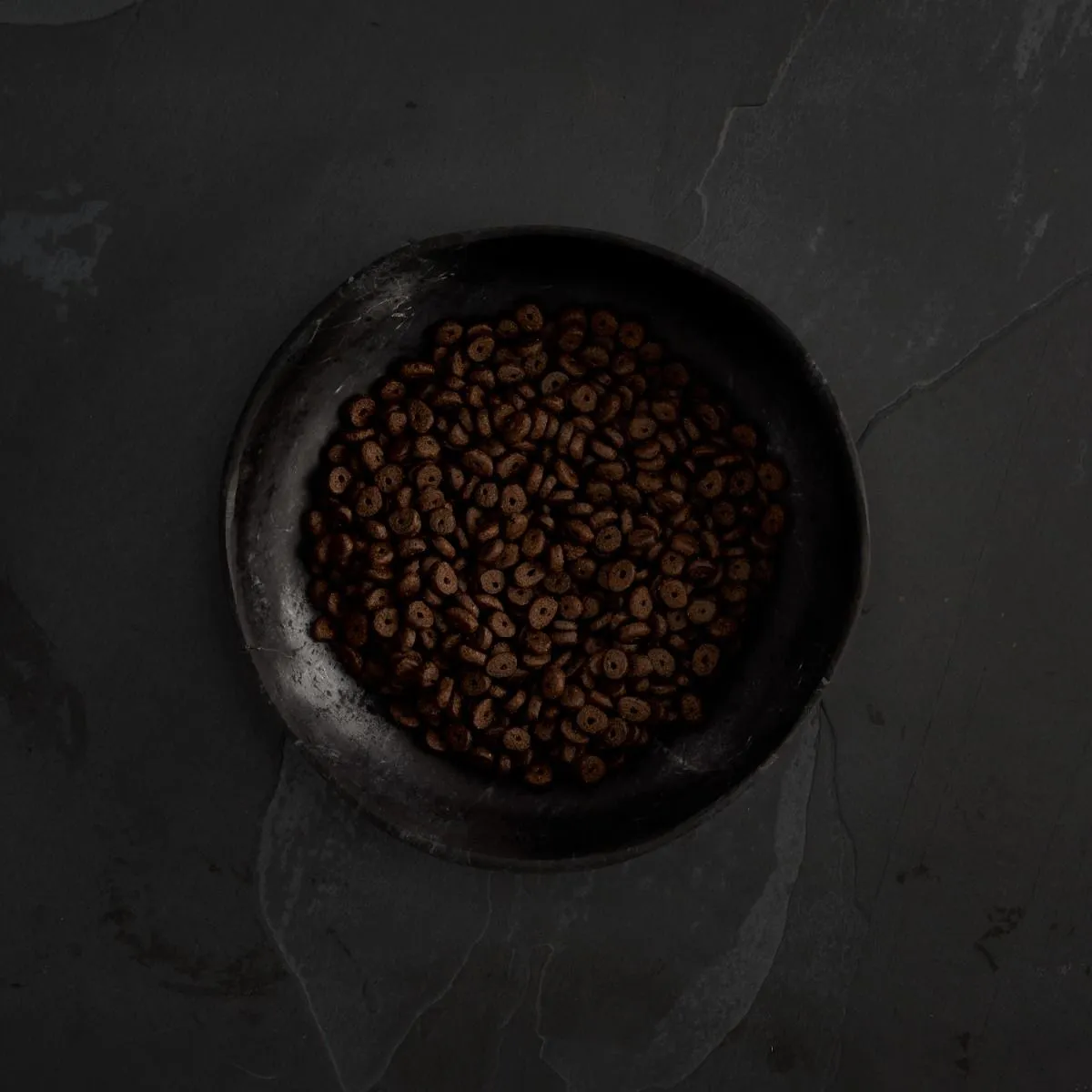 Canagan Small Breed Dog Scottish Salmon - Image 2