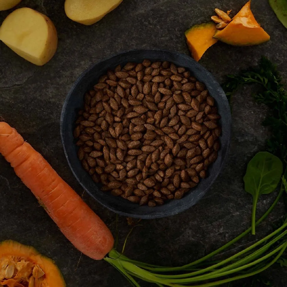 Canagan Dog Insect Protein - Image 2