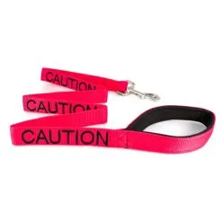 Dexil CAUTION Awareness Lead 120cm