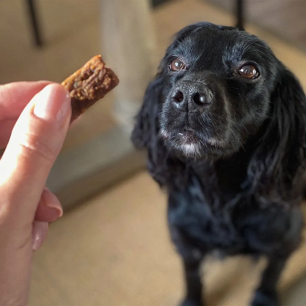 McAdams Awards Turkey, Cranberry & Sage Dog Treats 150g - Image 3