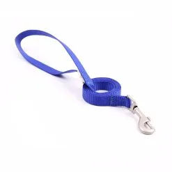 Great&Small Blue Nylon Lead