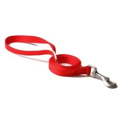 Great&Small Red Nylon Lead