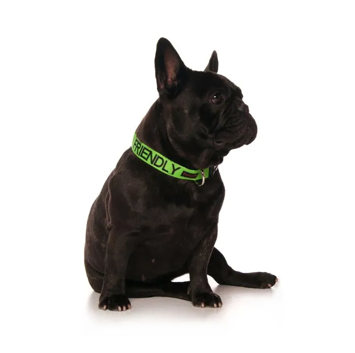 Dexil FRIENDLY Awareness Collar - Image 3