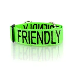 Dexil FRIENDLY Awareness Collar