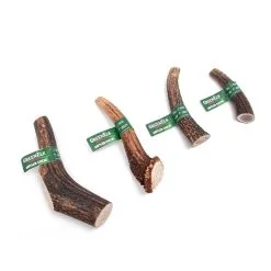 Green Elk Full Antler Chew