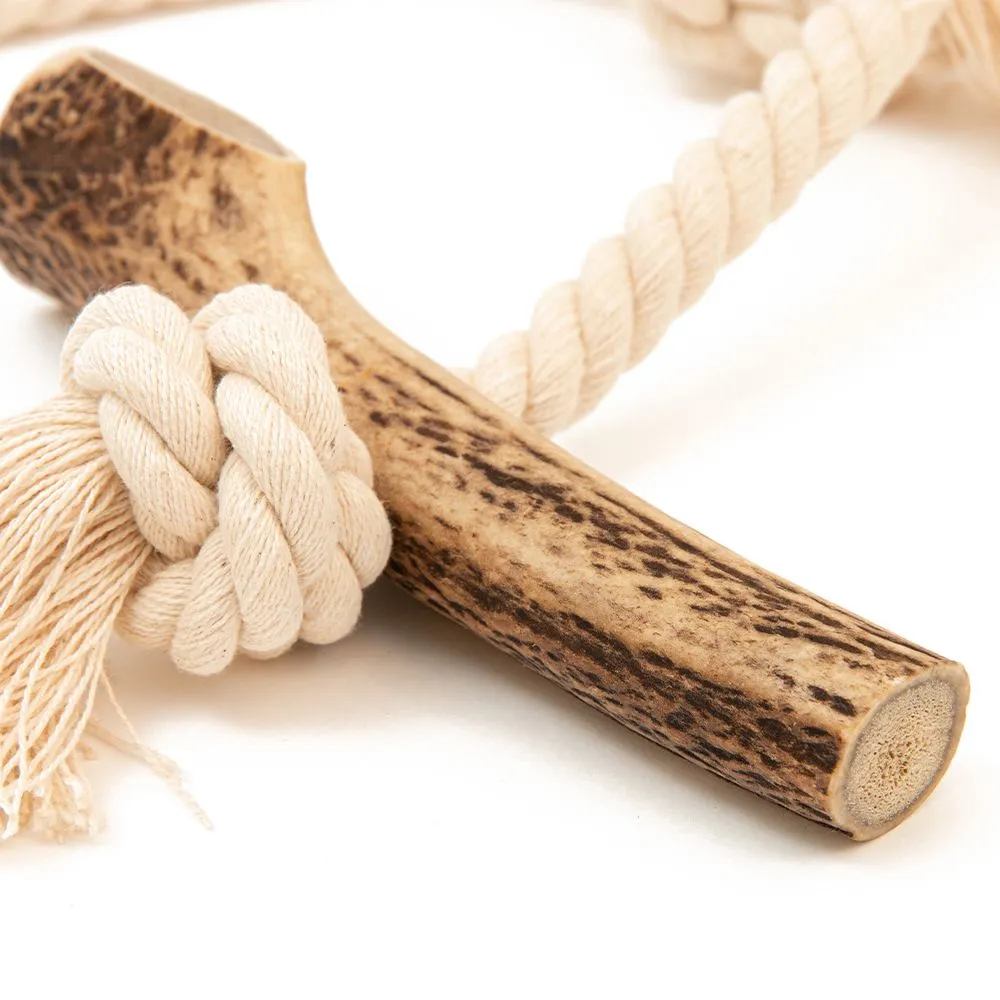 Green Elk Full Antler & Rope Toy - Image 2