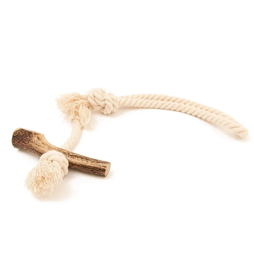 Green Elk Full Antler & Rope Toy