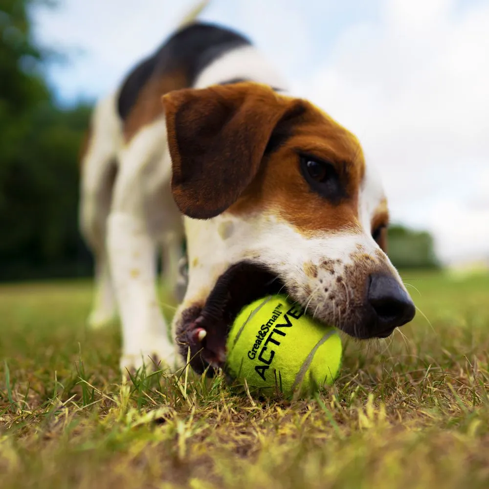 Great&Small Tennis Ball Rope Ring - Image 2