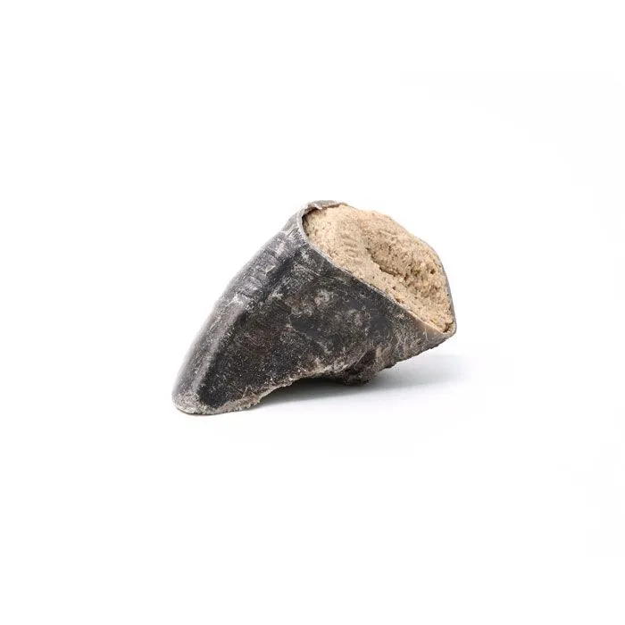 Great&Small Butchers Special Filled Hoof