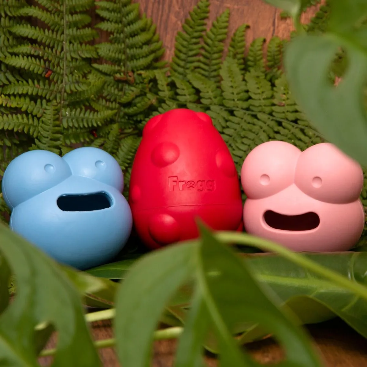 Frogg Robert Blue Chew Treat Dog Toy - Image 3