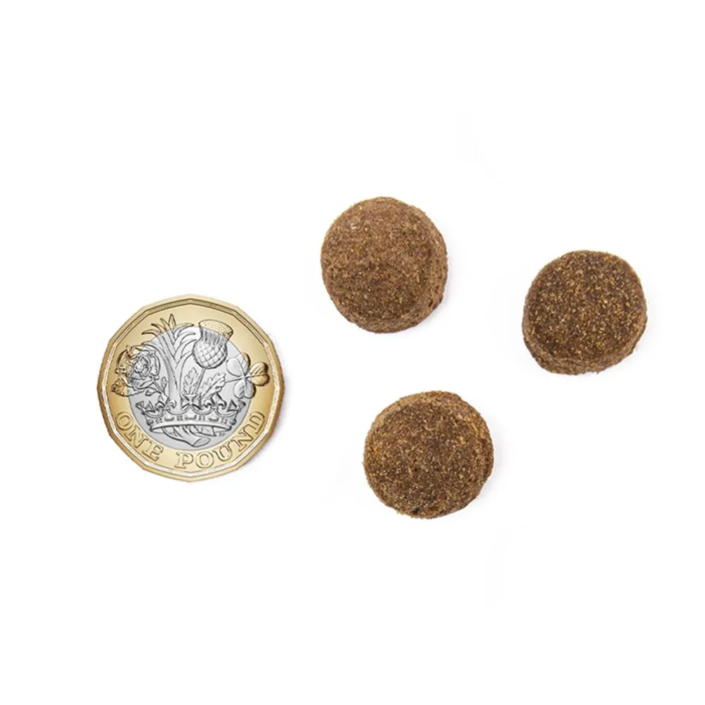 MORE Dog +Digestion Chicken All Breeds - Image 2