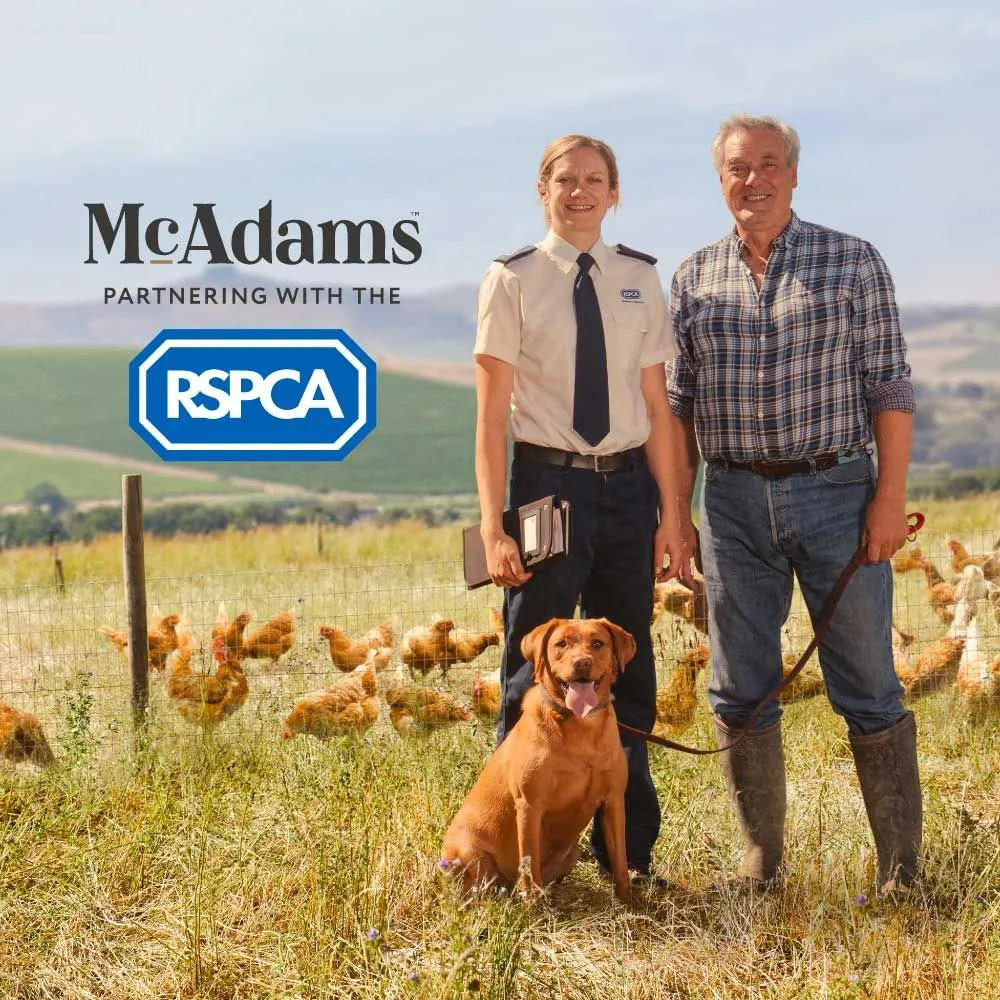 McAdams Free Range Chicken Senior/Light Dog - Image 2