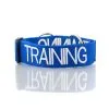 Dexil TRAINING Awareness Collar
