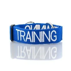 Dexil TRAINING Awareness Collar