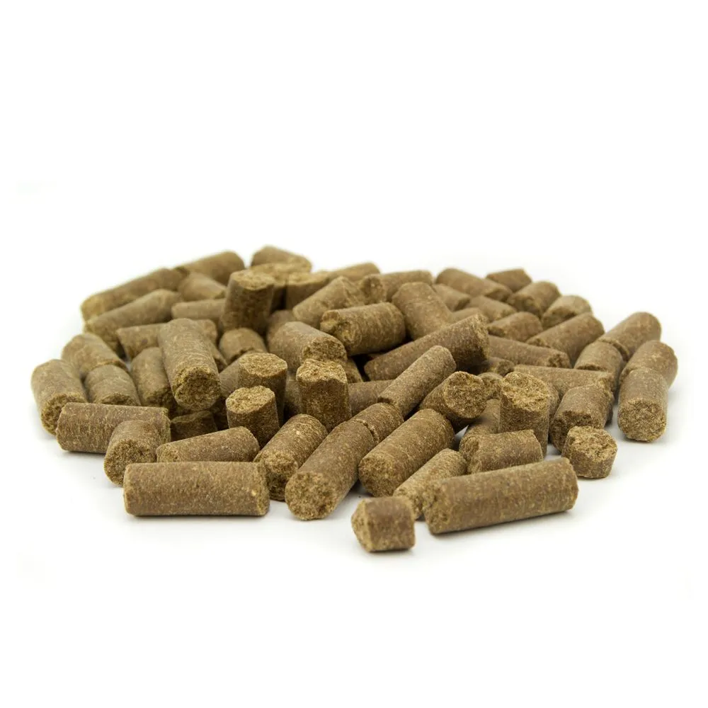 Tribal Fresh Pressed™ Adult Turkey Complete Dog Food - Image 2