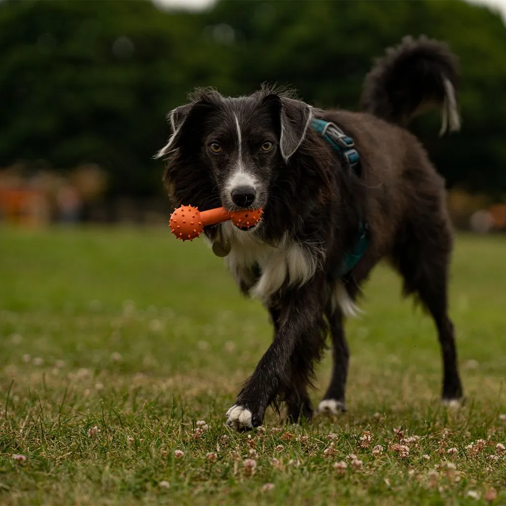 Great&Small 99% Natural Rubber Solid Dumbbell - Image 3