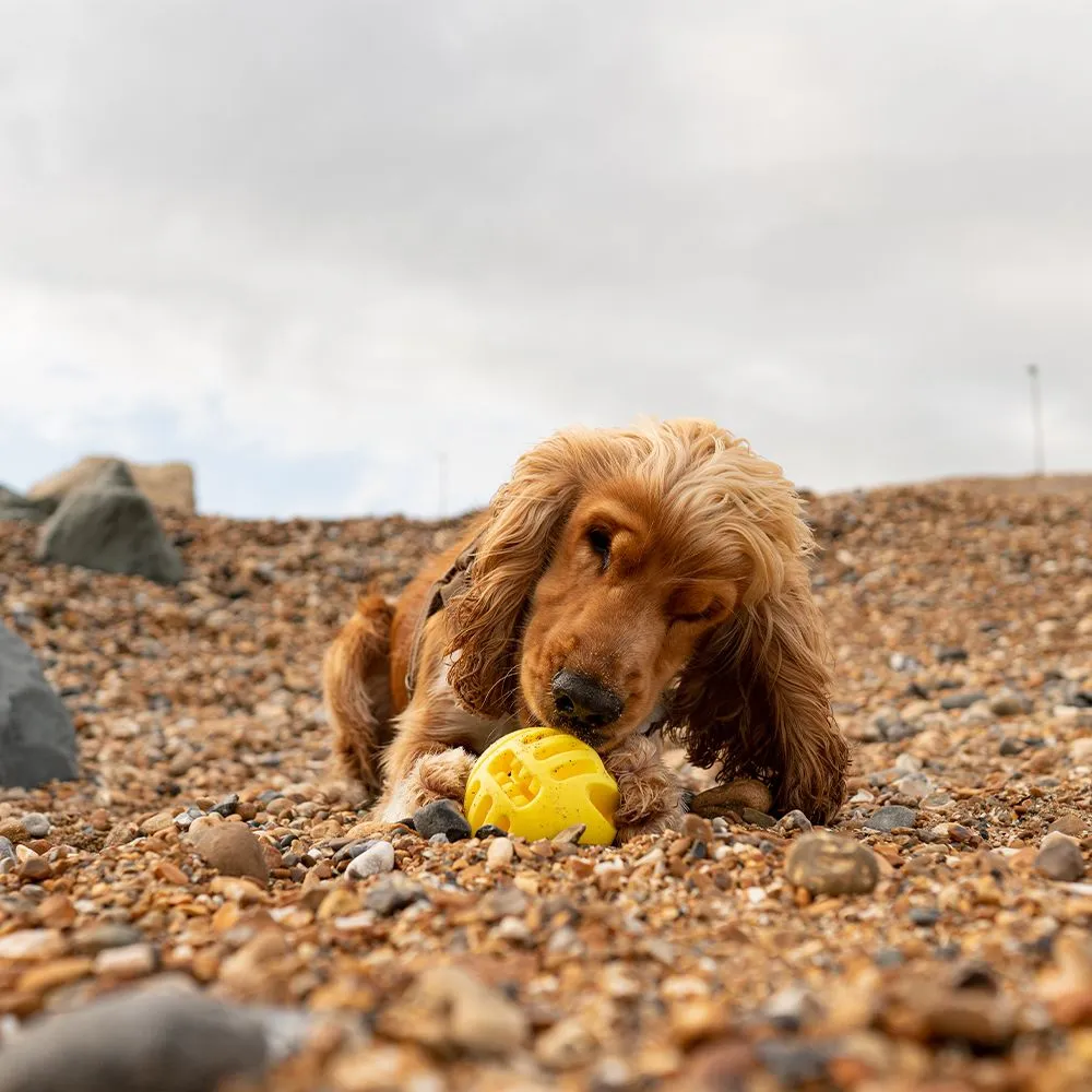 Great&Small Frubba Treat Ball - Image 3