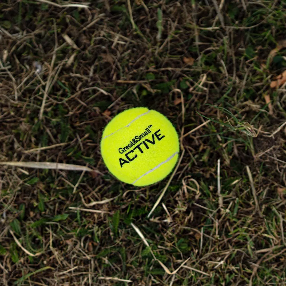 Great&Small Extra Bouncy 70% Rubber Tennis Ball 12 Pack - Image 3