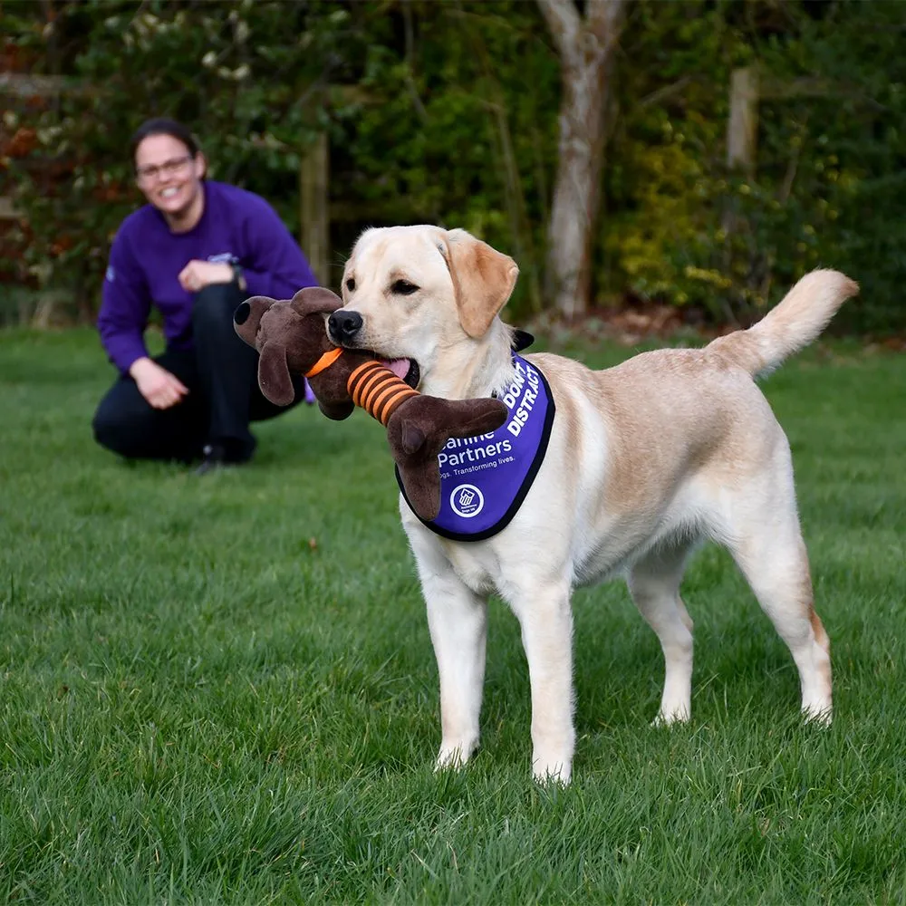 Great&Small Leaping Petey Toy - Image 4