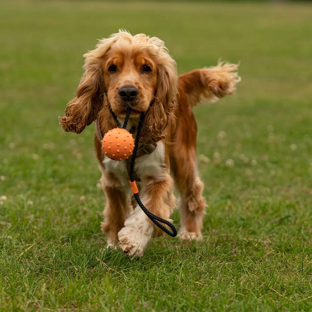 Great&Small 99% Natural Rubber Hollow Ball & Rope - Image 4