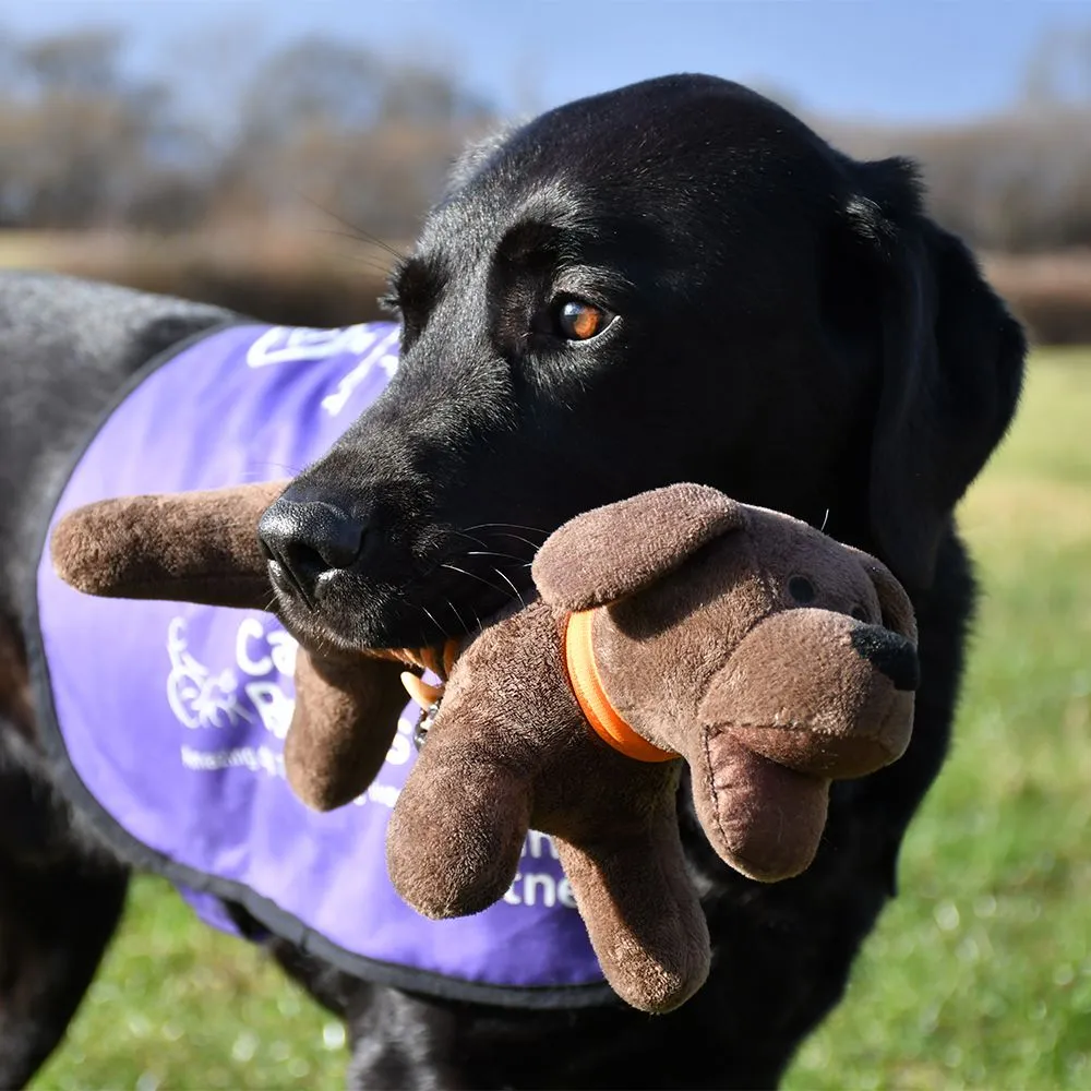 Great&Small Leaping Petey Toy - Image 5