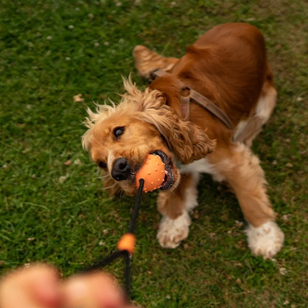 Great&Small 99% Natural Rubber Hollow Ball & Rope - Image 3