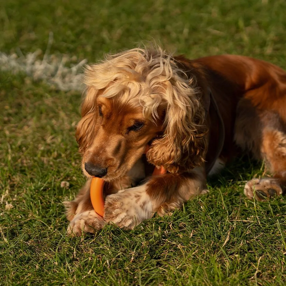 Great&Small 99% Natural Rubber Ring - Image 4
