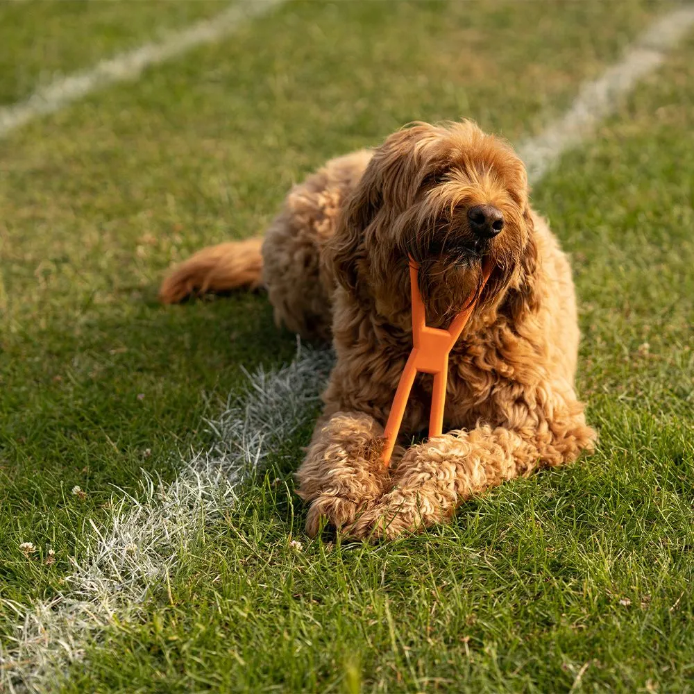 Great&Small 99% Natural Rubber Dog Pull - Image 4