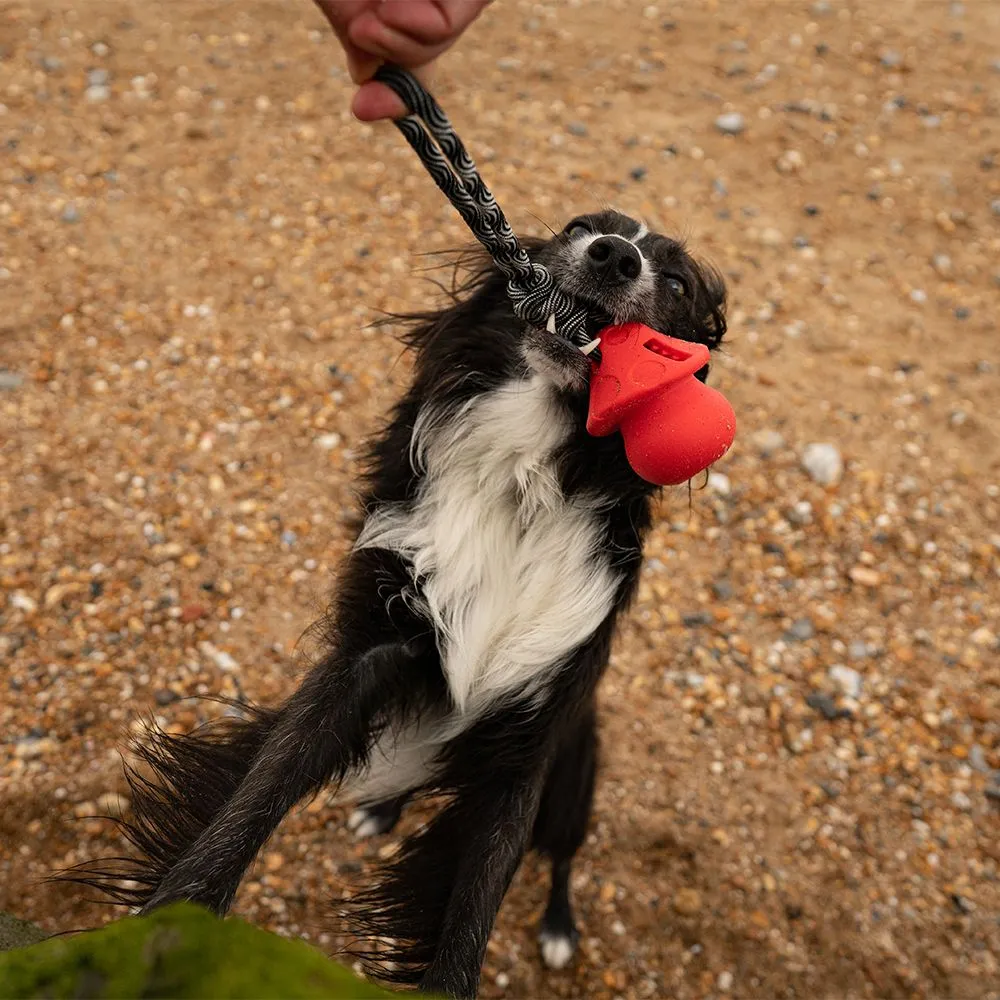 Great&Small Frubba Mushroom & Rope Treat Toy - Image 4