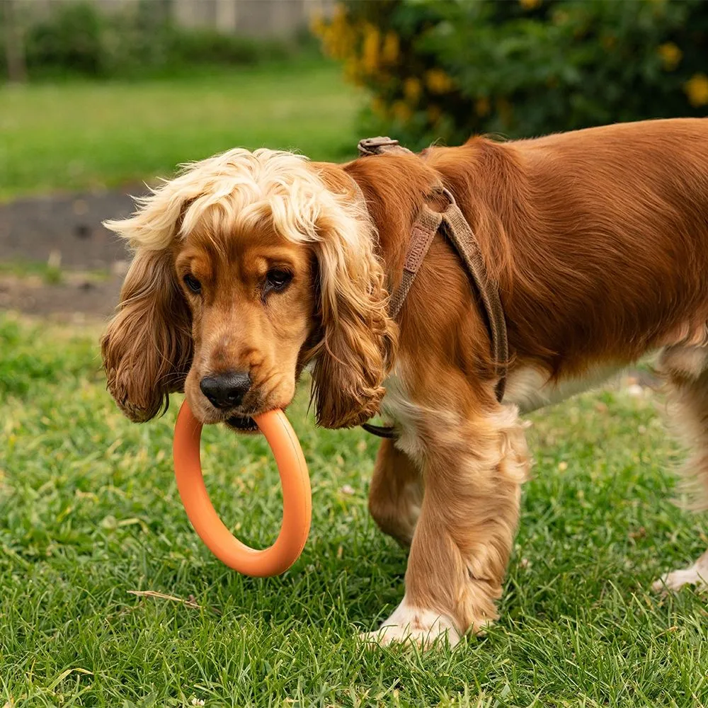 Great&Small 99% Natural Rubber Ring - Image 3