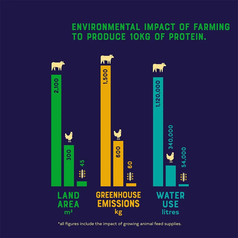 Yora Adult Small Breed Insect Protein Dog Food - Image 3