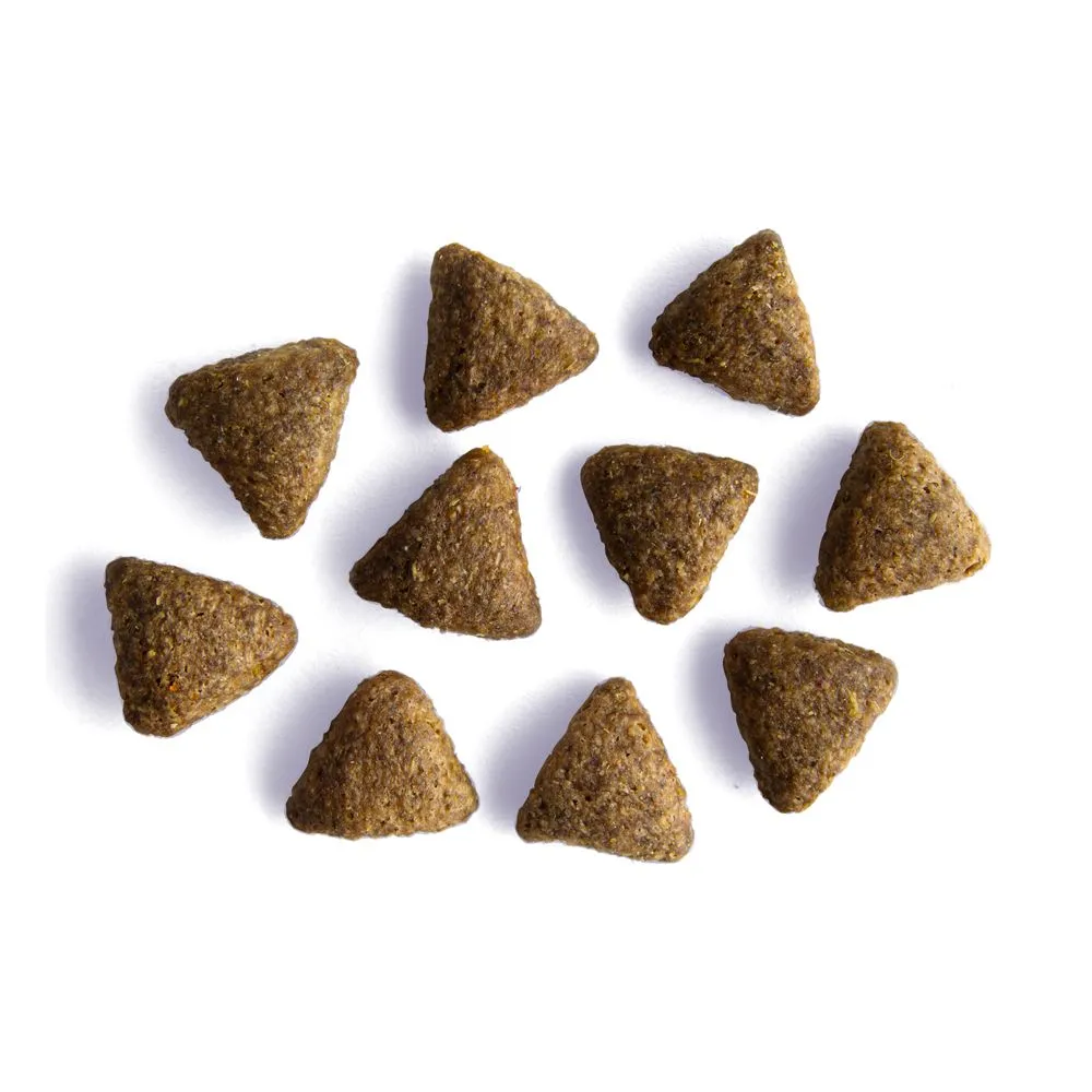 Yora Adult All Breed Insect Protein Dog Food - Image 3